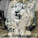 Poze - THIS IS ME -=KING_BOSS=- CAND SUNT BLAND - Poze